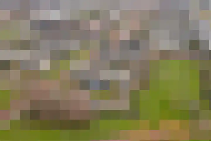 Rossinistraat 9 Oud-Beijerland thumbnail 32