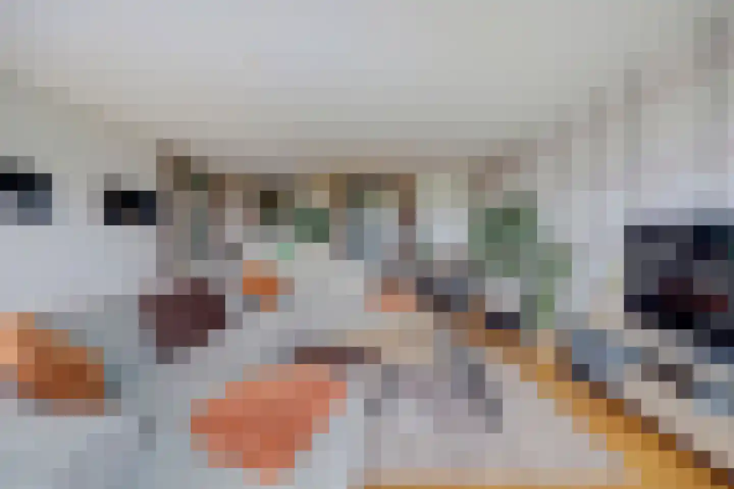 Rossinistraat 92 Capelle aan den IJssel thumbnail 12