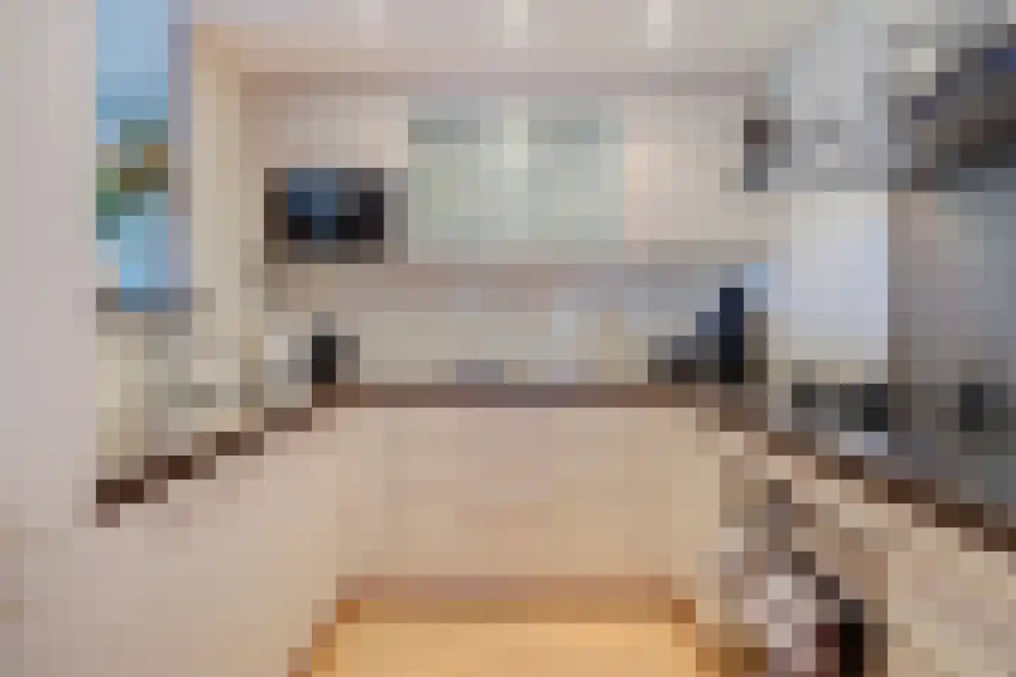 Rossinistraat 92 Capelle aan den IJssel thumbnail 15