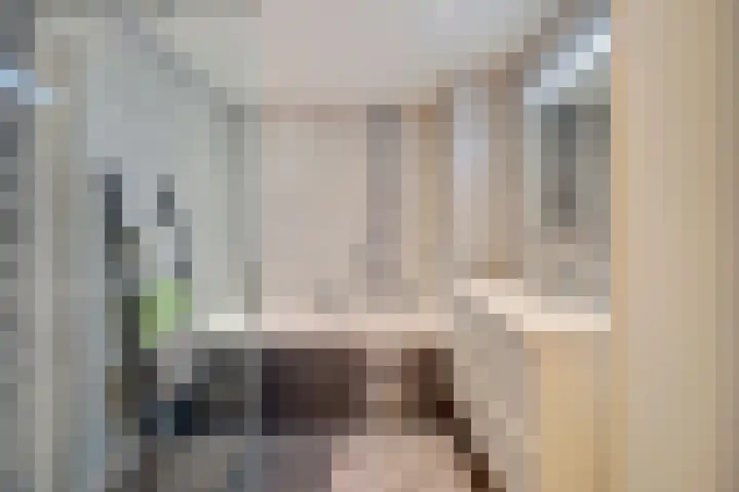 Rossinistraat 92 Capelle aan den IJssel thumbnail 22