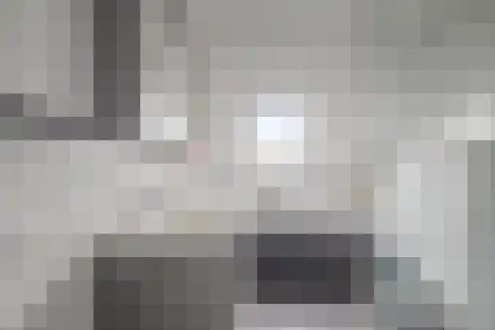 Rossiniweg 47 Veenendaal thumbnail 18
