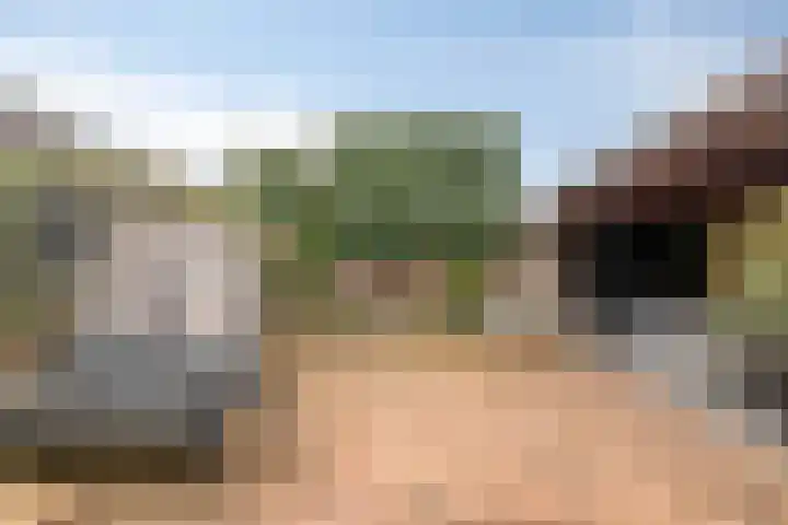 Rossiniweg 47 Veenendaal thumbnail 24