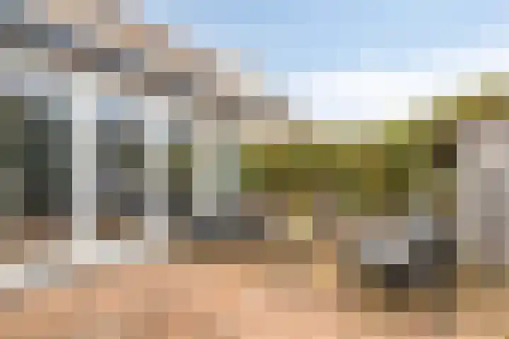 Rossiniweg 47 Veenendaal thumbnail 25