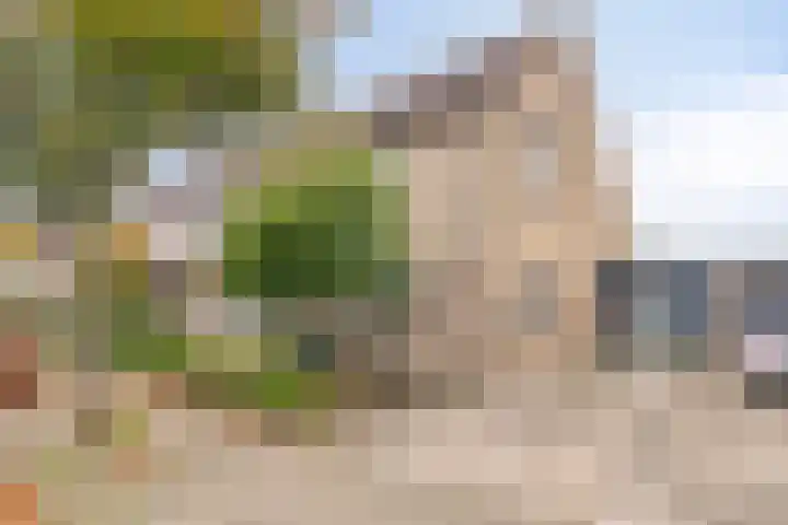 Rossiniweg 47 Veenendaal thumbnail 30