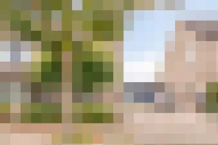 Rossiniweg 47 Veenendaal thumbnail 31
