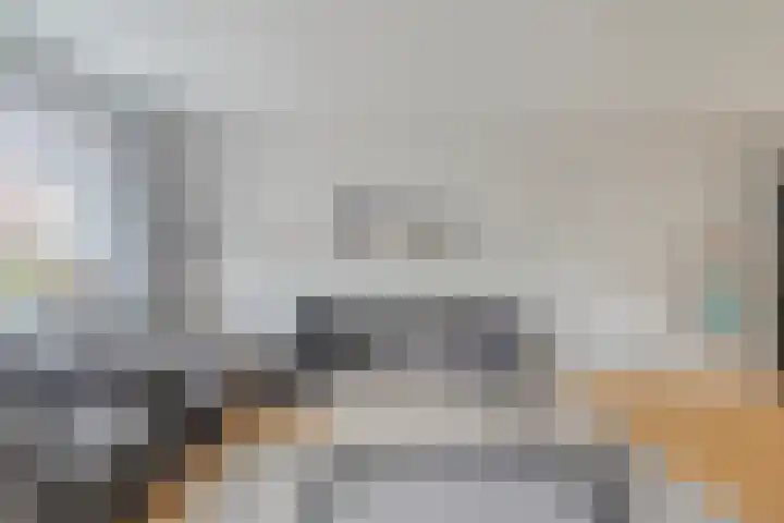Rossiniweg 47 Veenendaal thumbnail 5