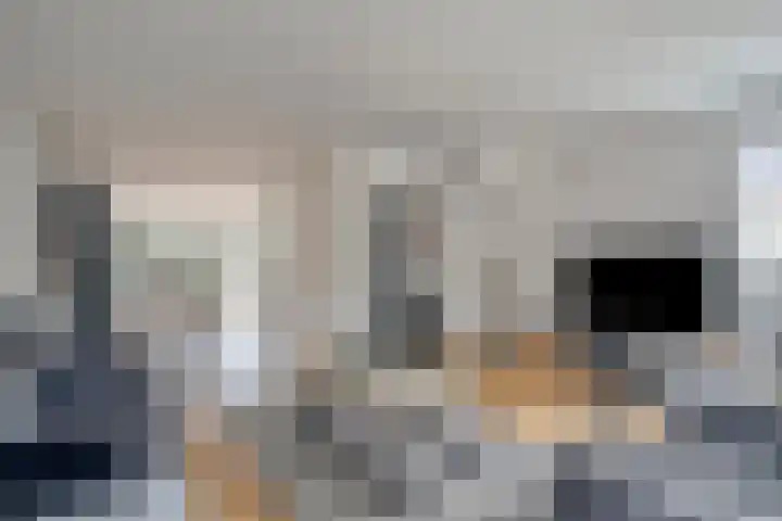 Rossiniweg 47 Veenendaal thumbnail 6