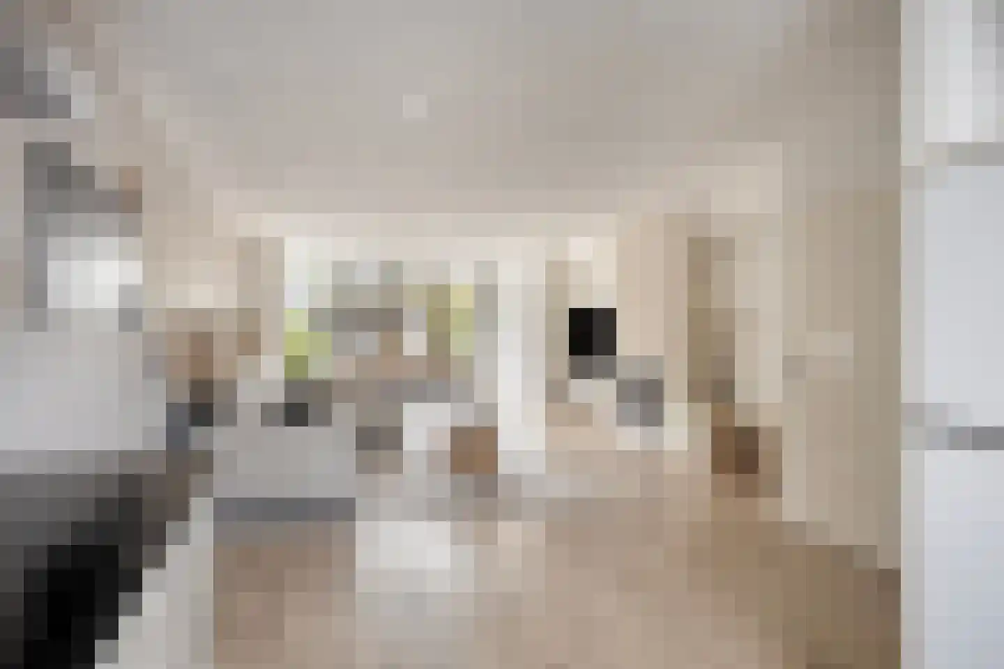 Rossiniweg 50 Veenendaal thumbnail 16