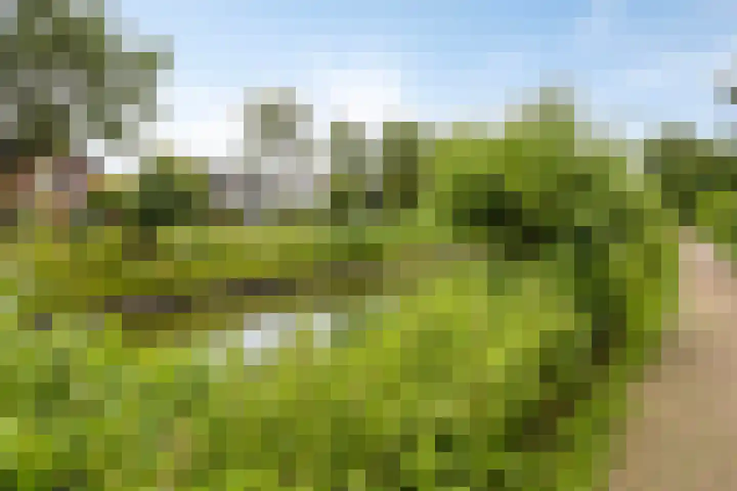 Rossiniweg 50 Veenendaal thumbnail 38