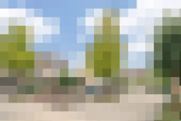 Rossiniweg 53 Veenendaal thumbnail 32
