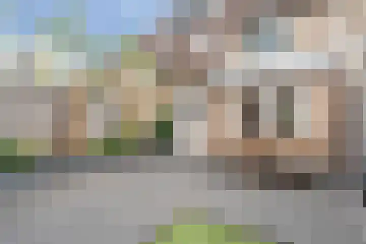 Rossiniweg 53 Veenendaal thumbnail 4