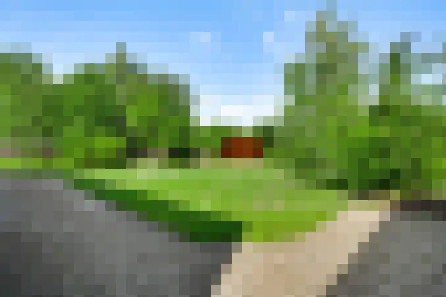 Rosslag 1 C Herten thumbnail 22