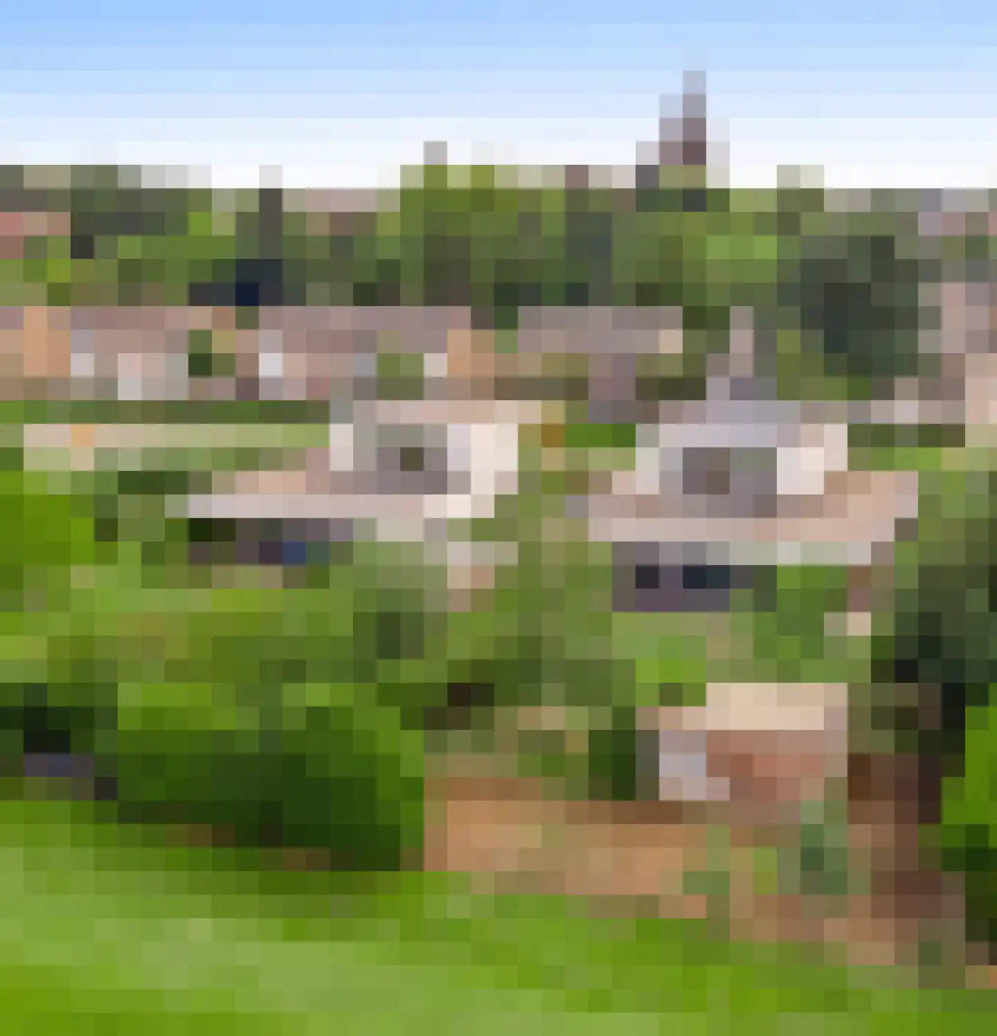 Rosslag 1 C Herten thumbnail 23