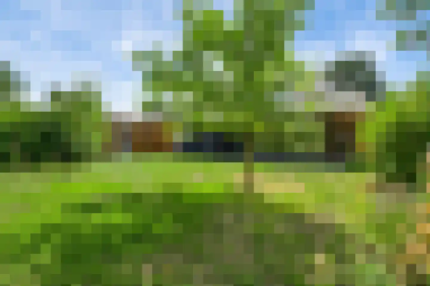 Rosslag 1 C Herten thumbnail 4