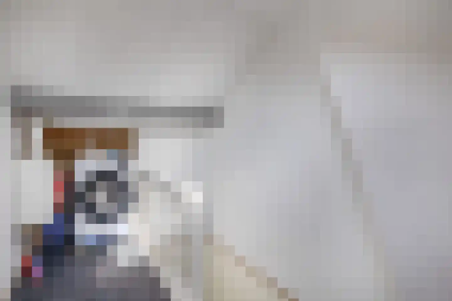 Rosslag 17 Herten thumbnail 17