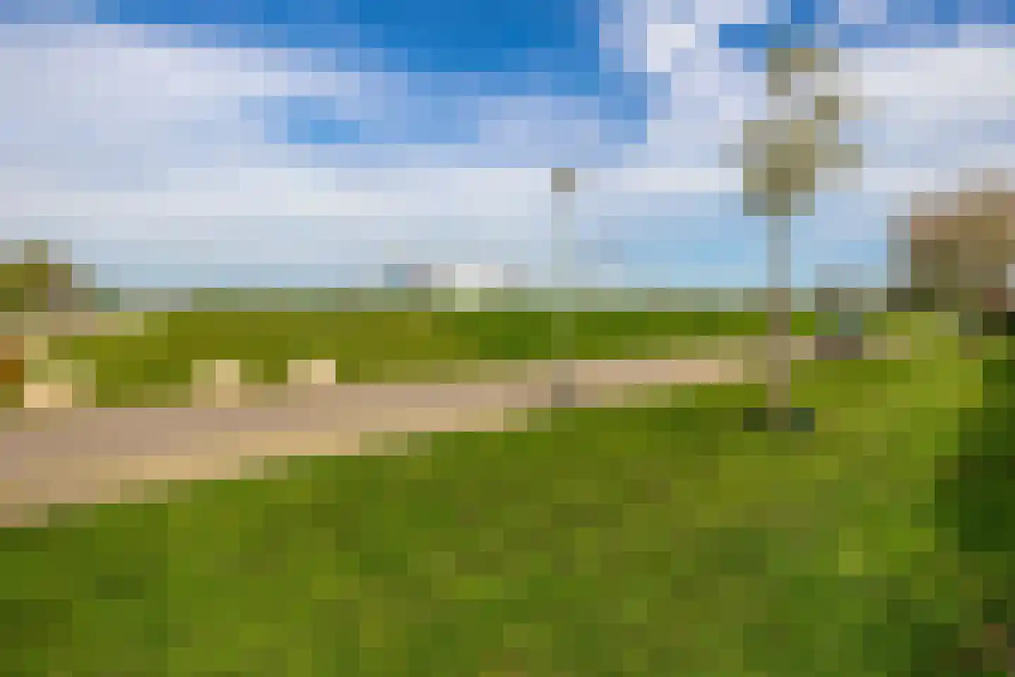 Rosslag 17 Herten thumbnail 25