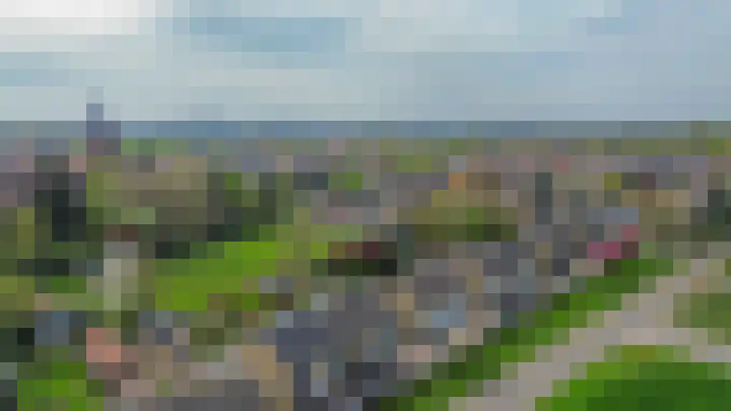Rosslag 17 Herten thumbnail 26