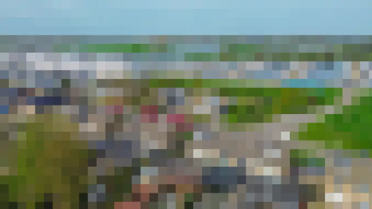 Rosslag 17 Herten thumbnail 28