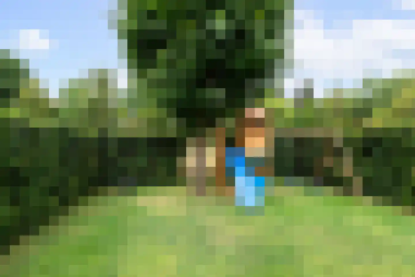 Rosslag 27 Herten thumbnail 32