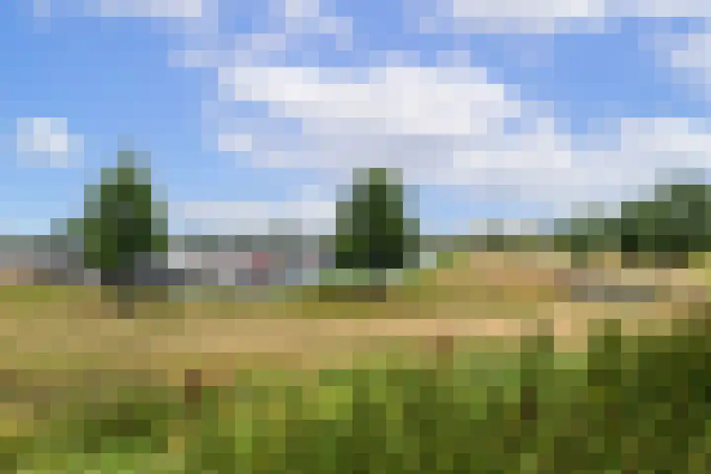Rosslag 27 Herten thumbnail 41