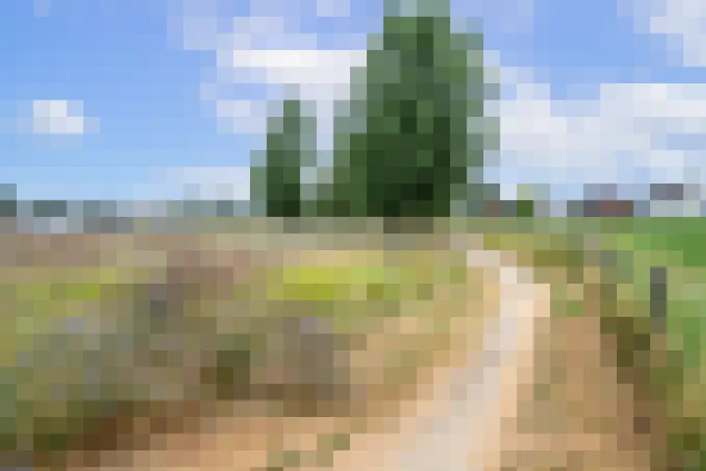 Rosslag 27 Herten thumbnail 43