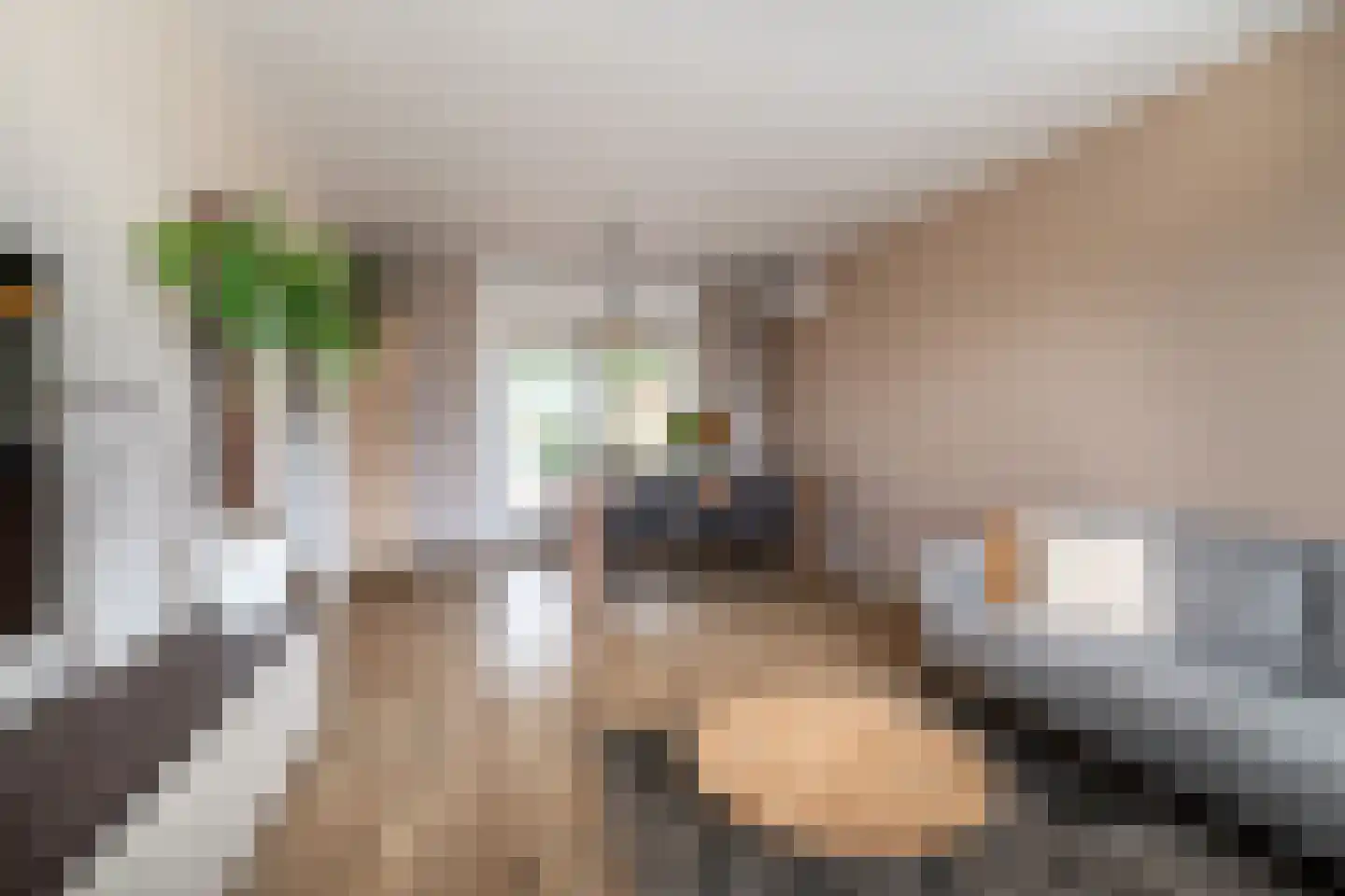 Rosslag 27 Herten thumbnail 5