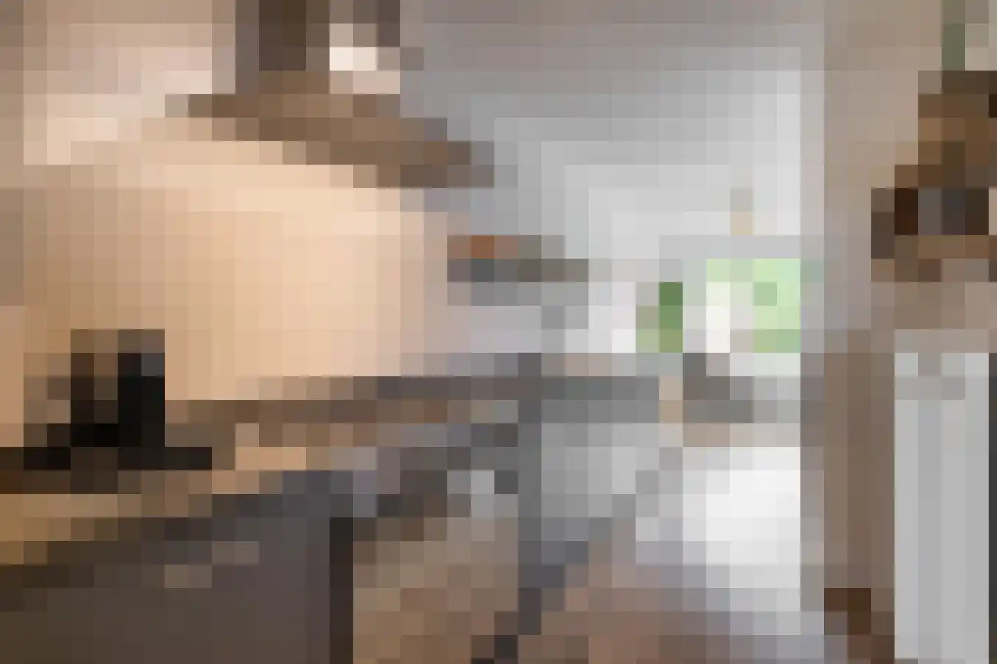 Rosslag 27 Herten thumbnail 9