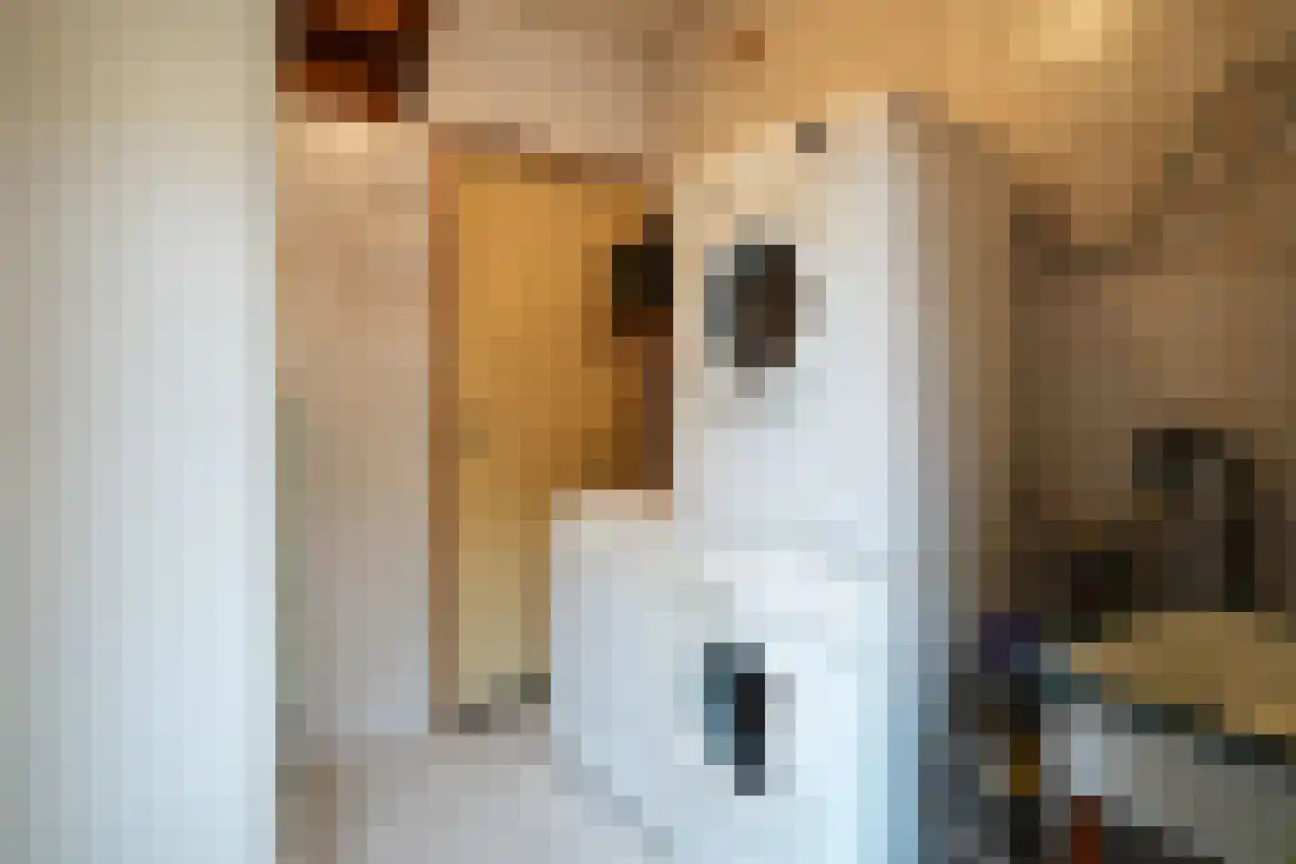Rosstraat 9 Gulpen thumbnail 13
