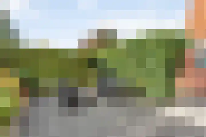 Rossumerstraat 3 Oldenzaal thumbnail 19