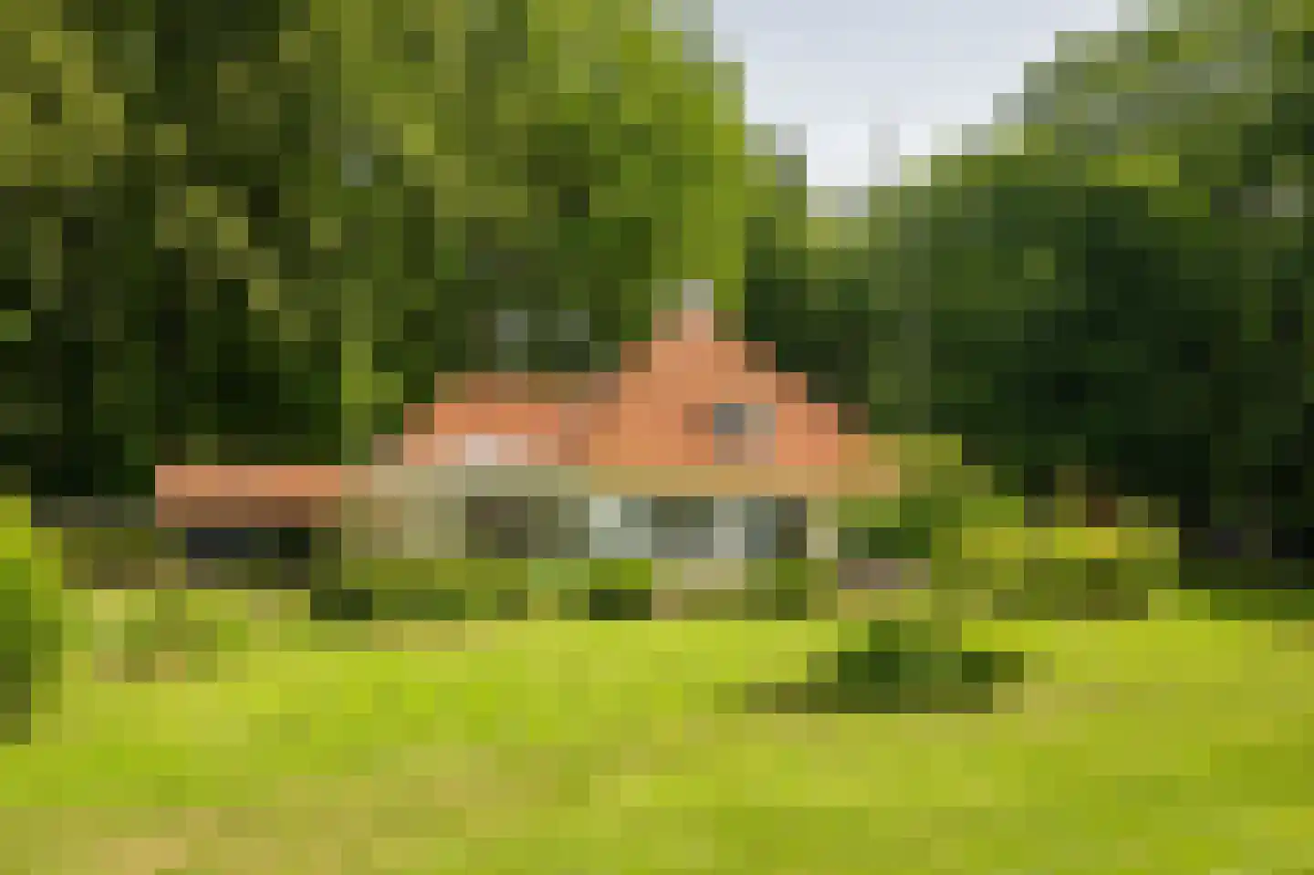 Rossweg 3 Laren