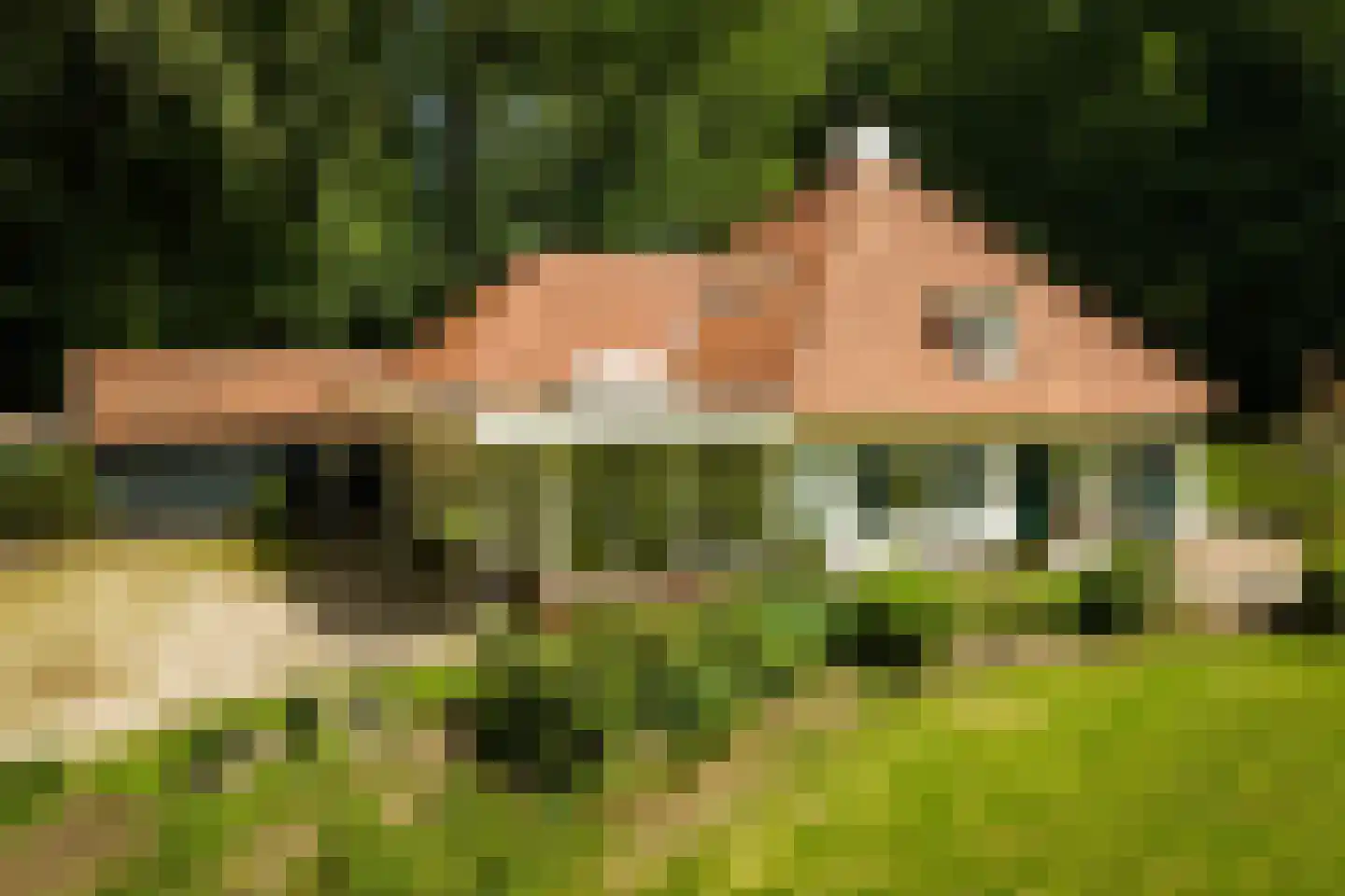 Rossweg 3 Laren thumbnail 10