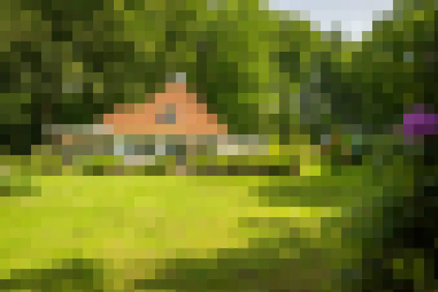 Rossweg 3 Laren thumbnail 11