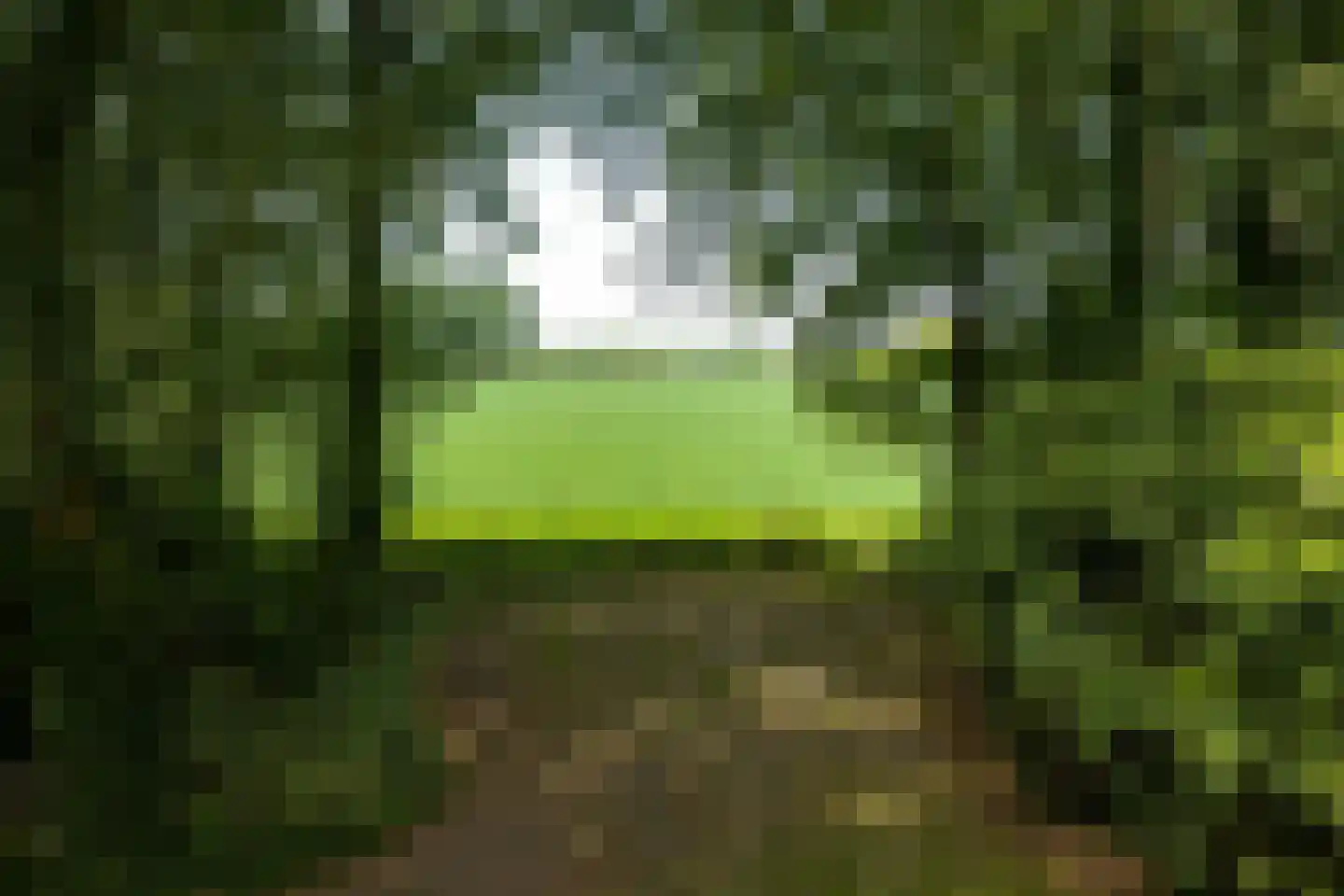 Rossweg 3 Laren thumbnail 12