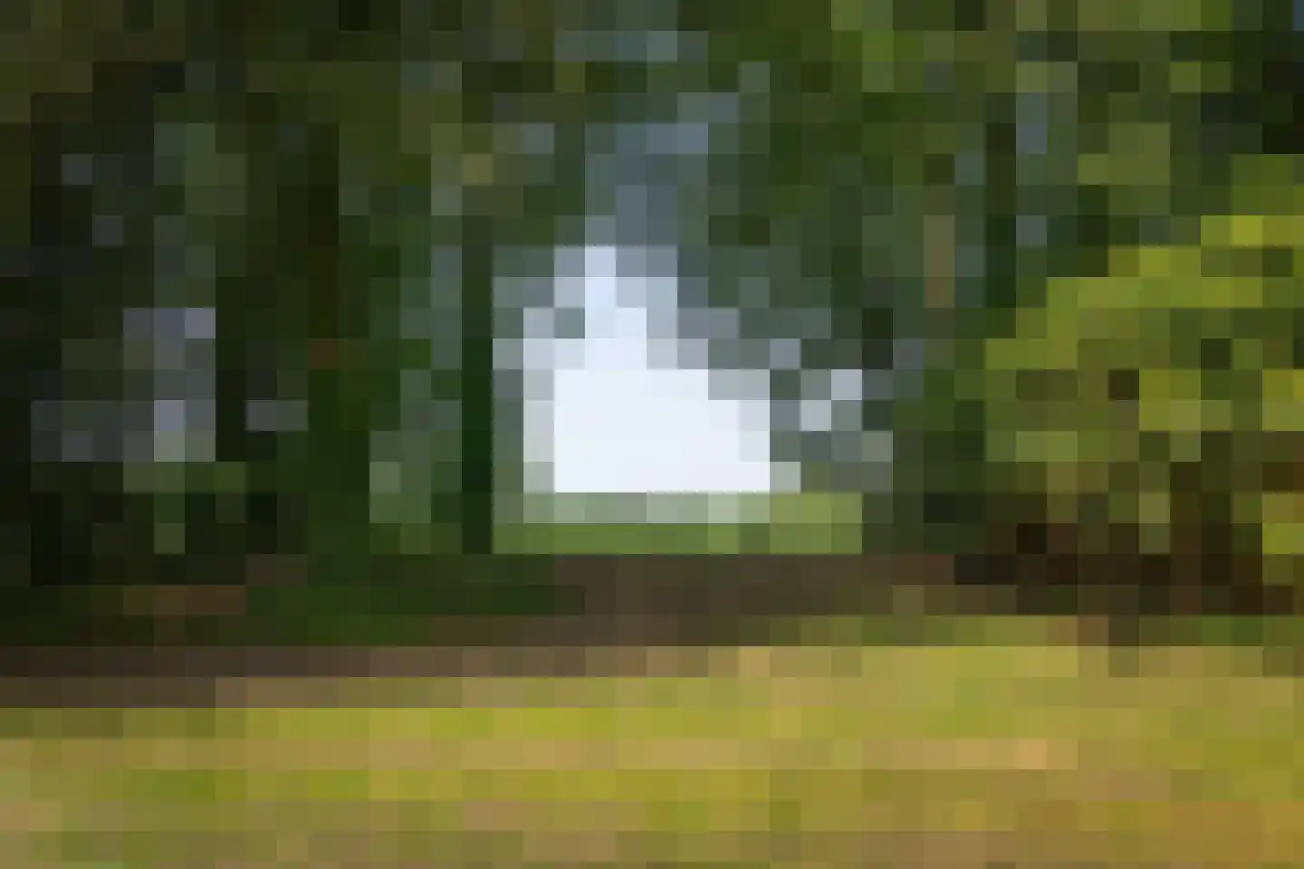 Rossweg 3 Laren thumbnail 14
