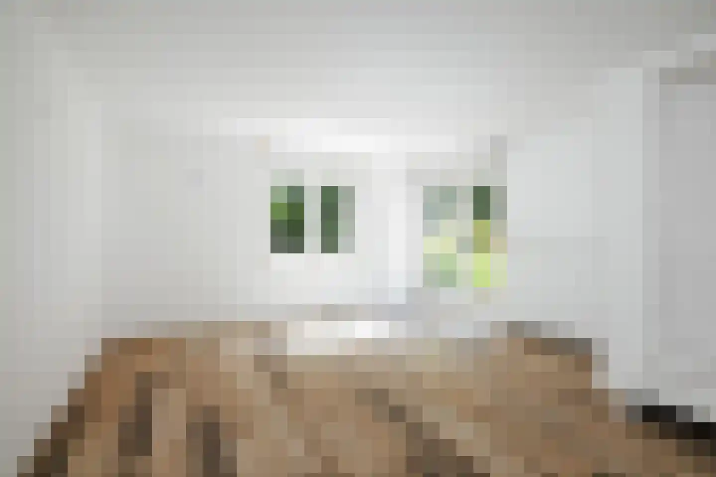 Rossweg 3 Laren thumbnail 29