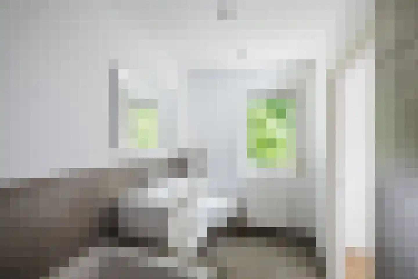 Rossweg 3 Laren thumbnail 31