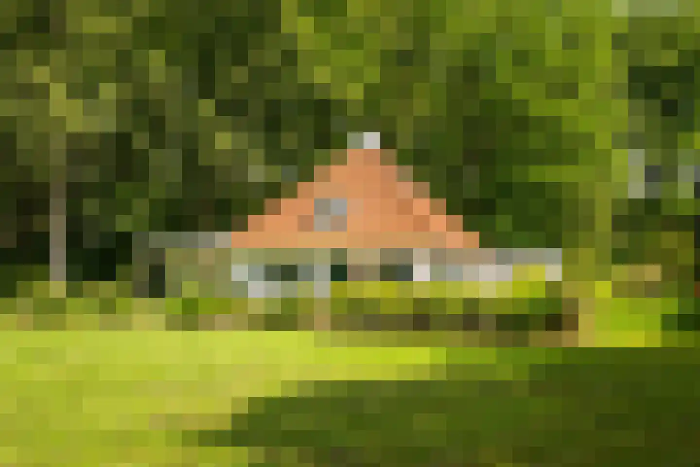 Rossweg 3 Laren thumbnail 34