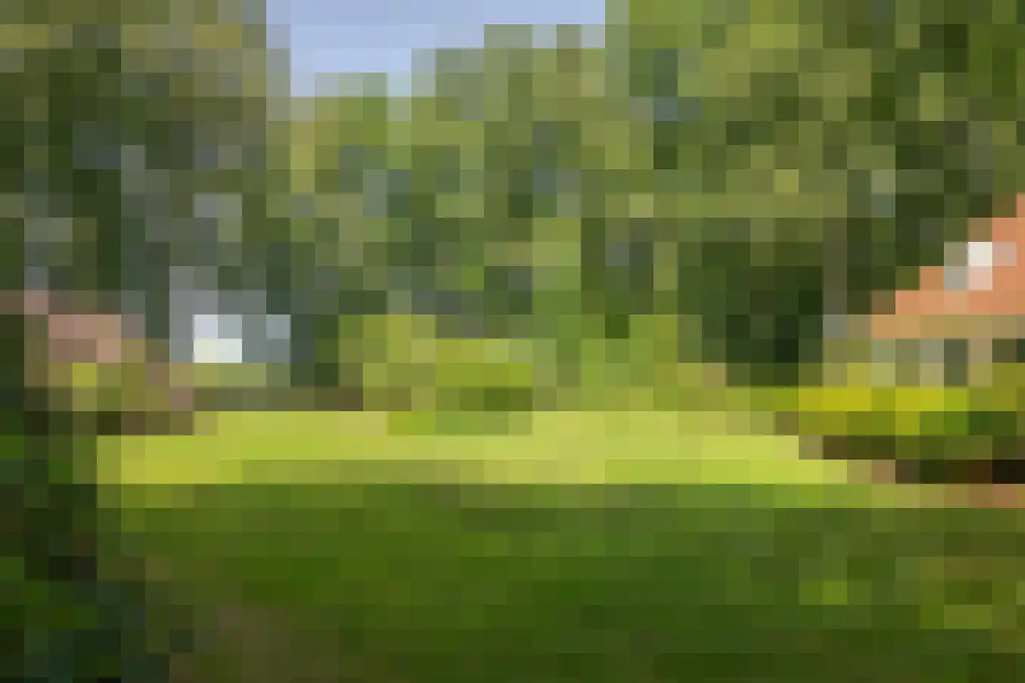Rossweg 3 Laren thumbnail 35