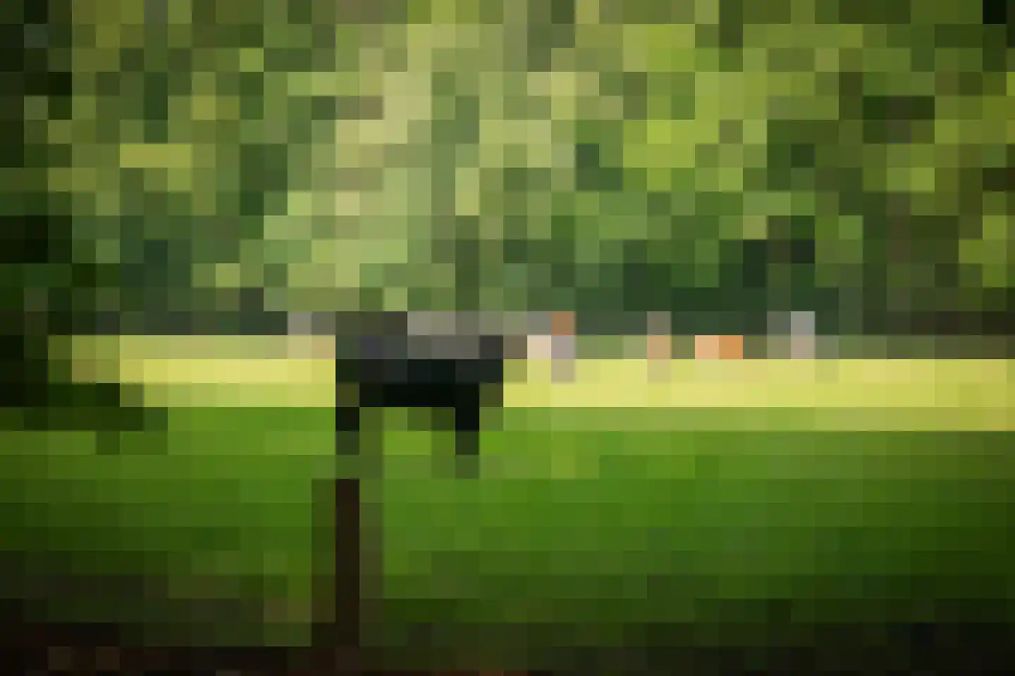 Rossweg 3 Laren thumbnail 36