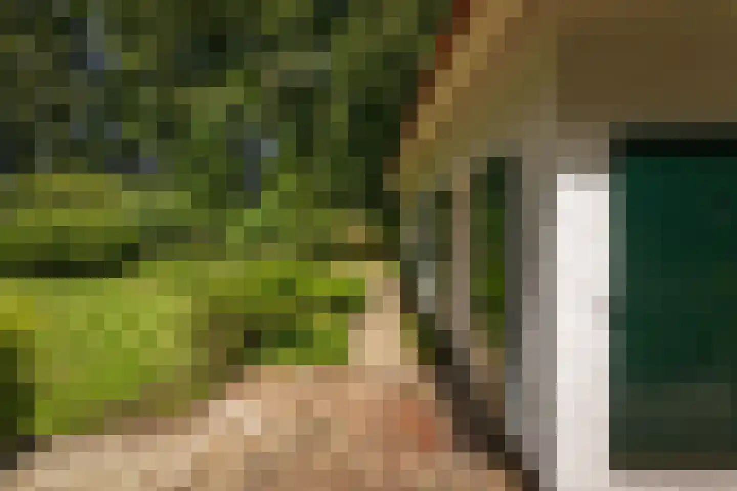 Rossweg 3 Laren thumbnail 38