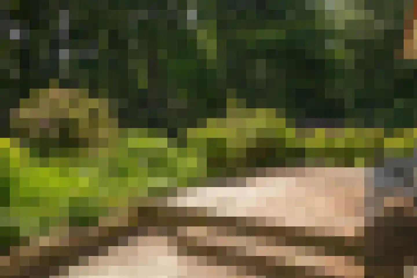 Rossweg 3 Laren thumbnail 39
