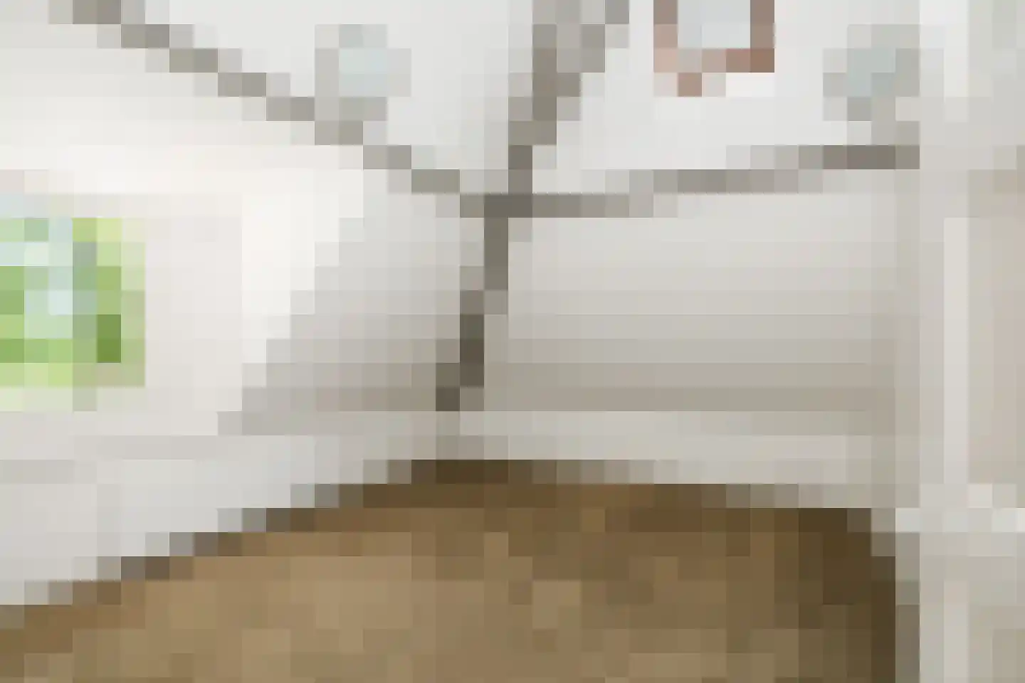 Rossweg 3 Laren thumbnail 41