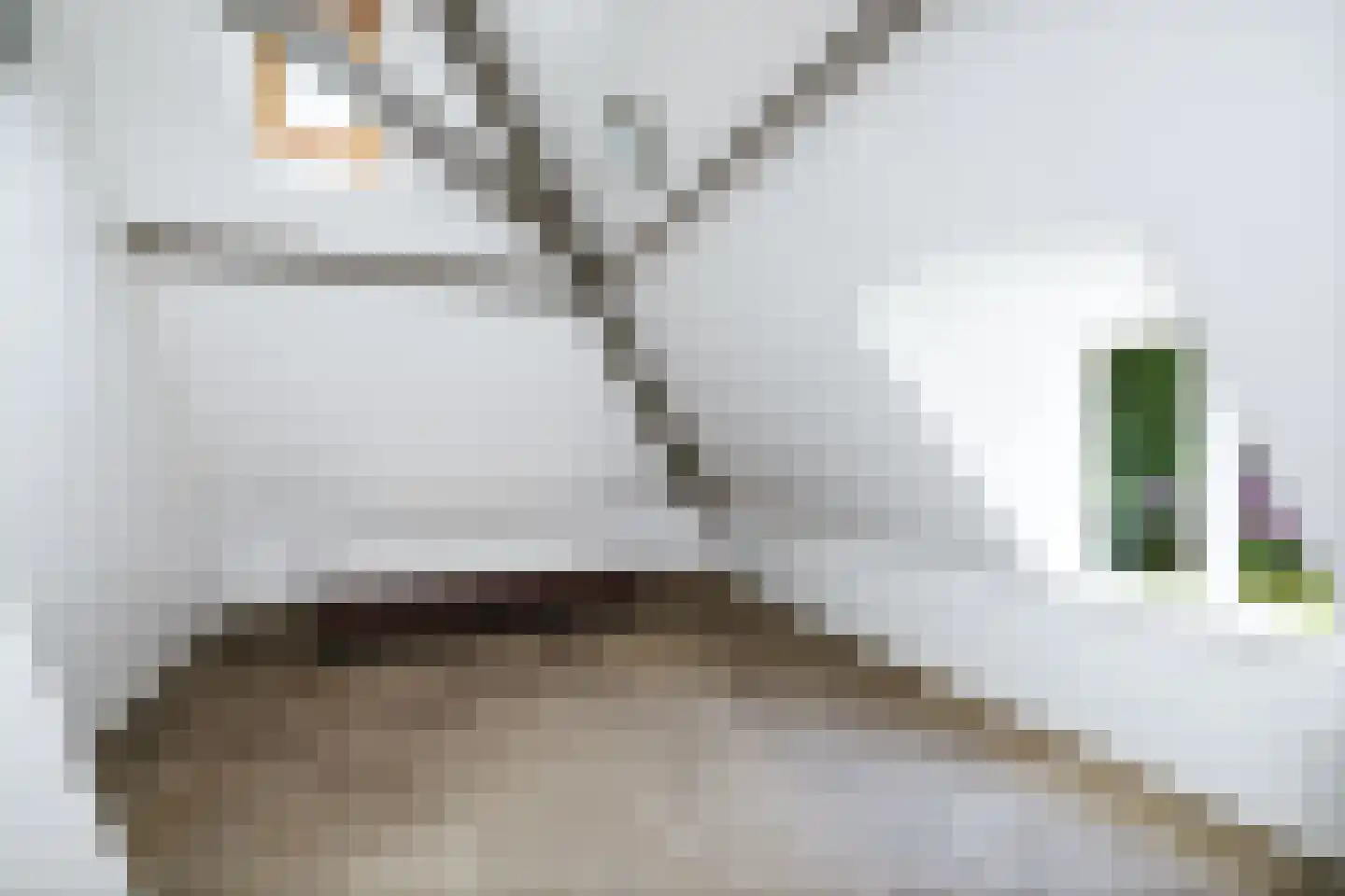 Rossweg 3 Laren thumbnail 43