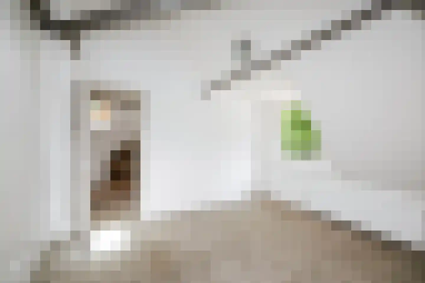 Rossweg 3 Laren thumbnail 44