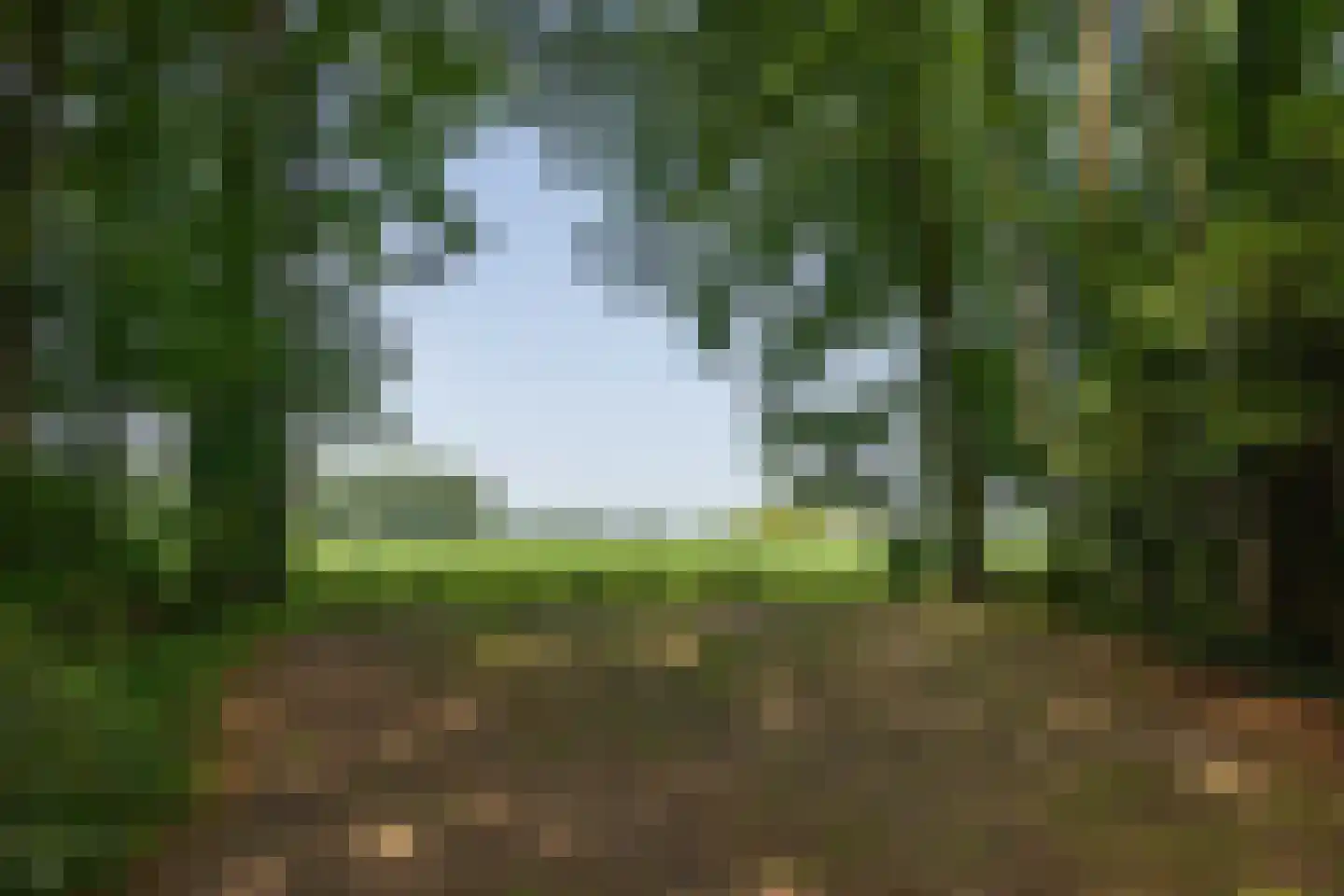 Rossweg 3 Laren thumbnail 51
