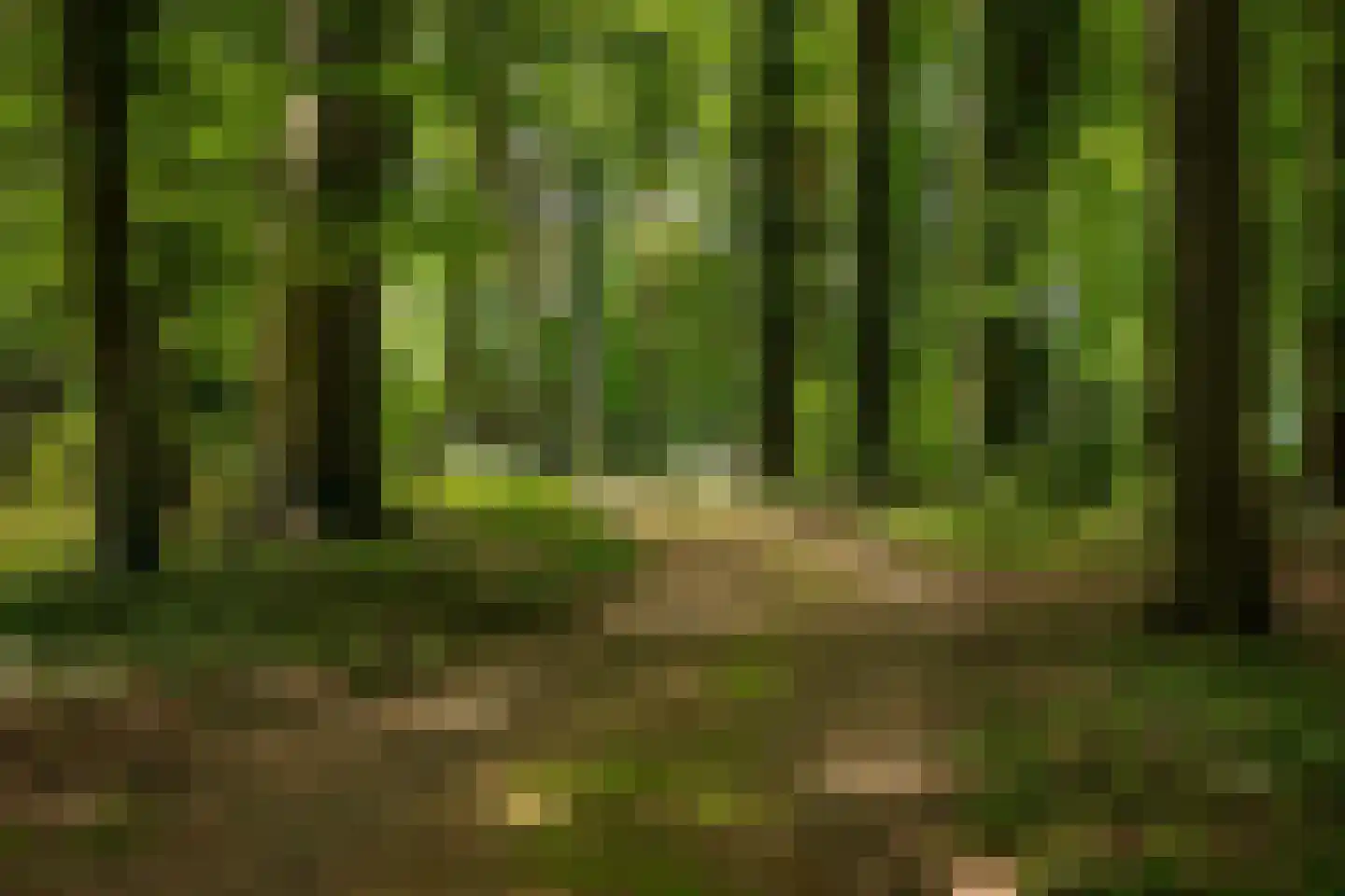 Rossweg 3 Laren thumbnail 52