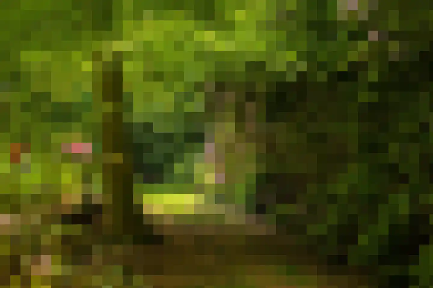 Rossweg 3 Laren thumbnail 53