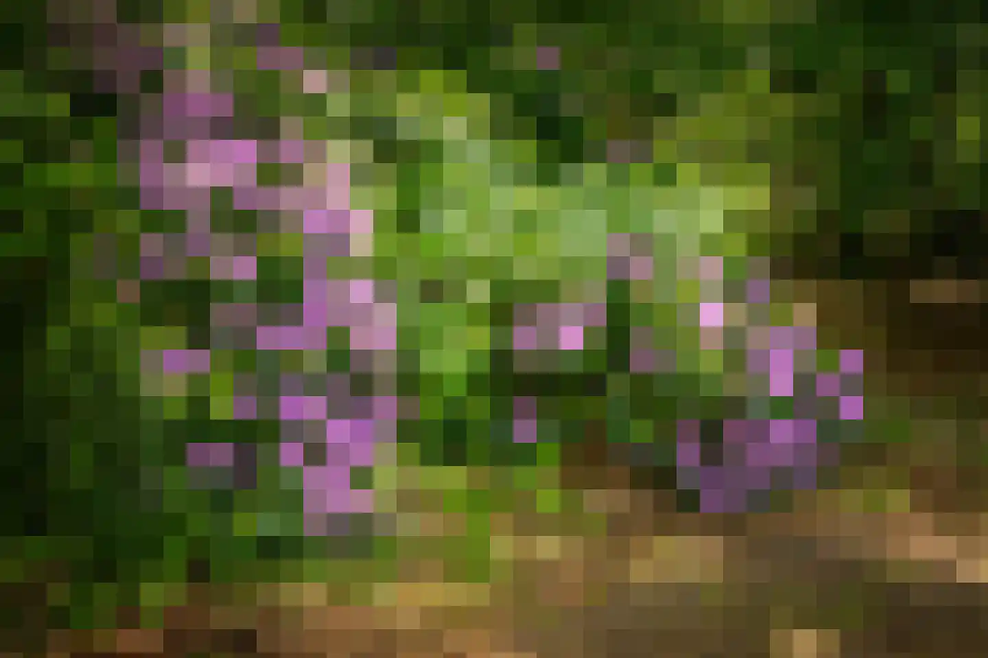 Rossweg 3 Laren thumbnail 54
