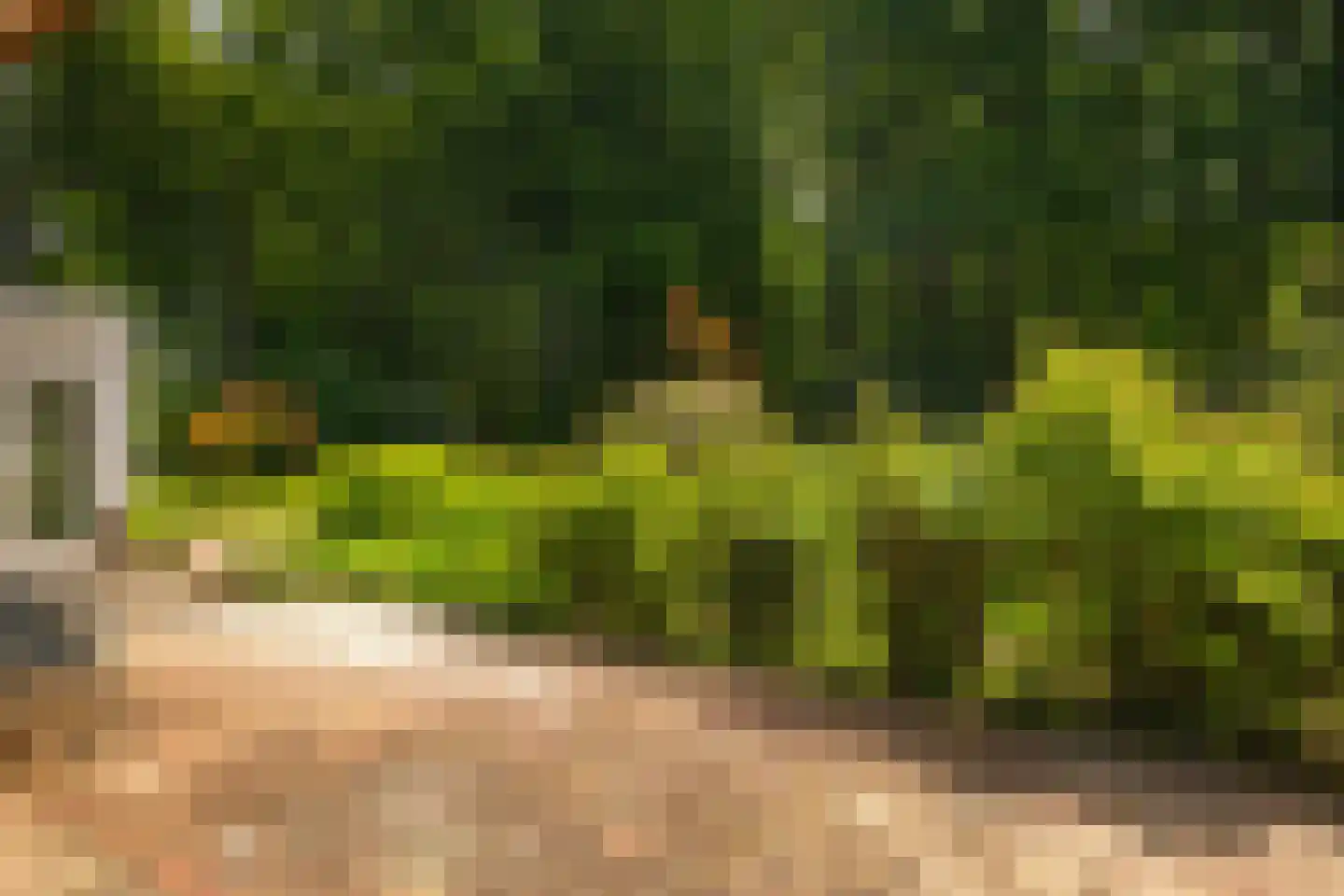 Rossweg 3 Laren thumbnail 55