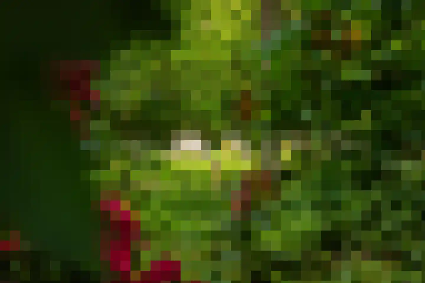 Rossweg 3 Laren thumbnail 56